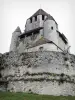 Provins - Turm César (Bergfried, Wachturm)