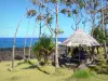 Puits des Anglais - Kiosque à pique-nique sous les vacoas avec vue sur l'océan Indien, au Baril, sur la commune de Saint-Philippe