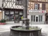 Guide of the Puy-de-Dôme - Ambert - Fountain and houses with wood sides in the old town; in the Livradois-Forez Regional Nature Park