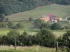 Puy Saint-Ambroise - Zicht op een boerderij omringd door velden en weilanden