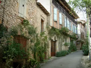 Puycelsi - Narrow street and houses of the village (Albigensian fortified town) with shrubs, rosebushes, flowers and plants