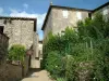 Puycelsi - Ruelle du village (bastide albigeoise), jardin avec des arbustes, des plantes et des fleurs, maisons et nuages dans le ciel