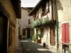 Puycelsi - Uitspringende huis en houten met een klimroos (rode rozen) en de stenen huizen van het dorp (landhuis Albigenzen)