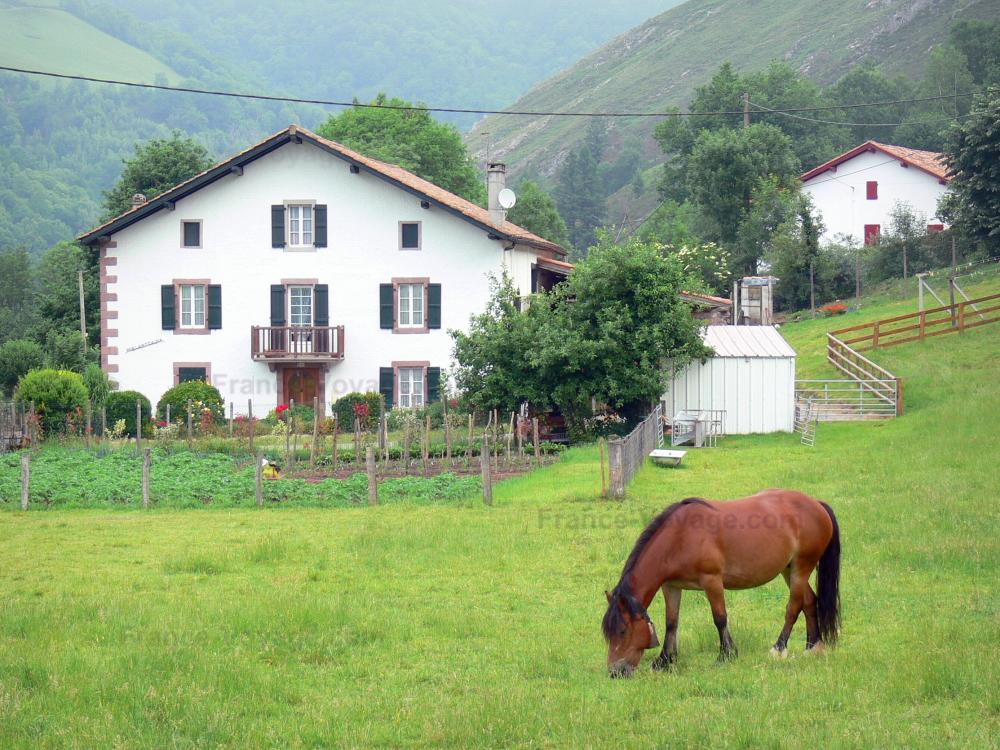 Guide des Pyrénées-Atlantiques - Vallée des Aldudes - Cheval dans un pré, potager, et maisons entourées d'arbres ; dans le Pays basque