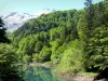 Pyrenees National Park - Aspe valley: Anglus lake, forest and Pyrenean mountains