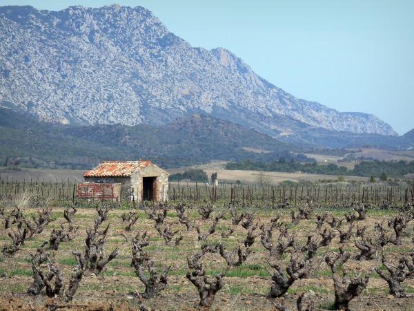 Rencontres dans les pyrenees orientales