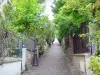 Quartier de la Mouzaïa - Allée pavée agrémentée de lampadaires et bordée de verdure