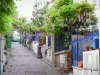 Quartier de la Mouzaïa - Petits jardins ornés de glycines en fleurs