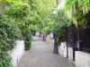 Quartier de la Mouzaïa - Ruelle pavée ponctuée de lampadaires et bordée de végétation
