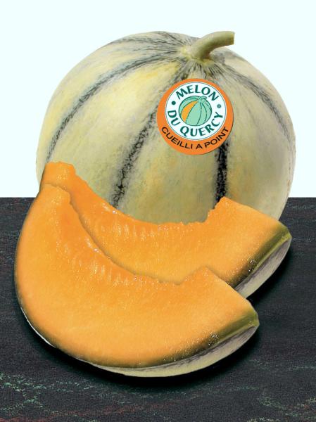 quercy melon gastronomy holidays guide melons catering