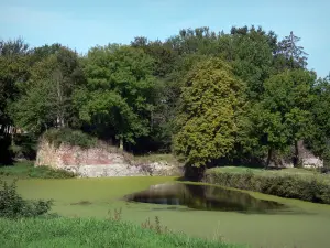 O Quesnoy - Lagoa e árvores à beira da água; no Parque Natural Regional de Avesnois