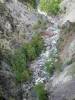 Queyras地区自然公园 - Gorges du Guil：Guil，岩石和树木的洪流