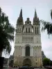 Raivas - Fachada da Catedral de Saint-Maurice e galhos de árvores