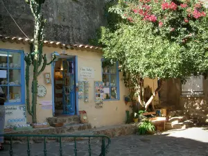 Ramatuelle - Boutique de souvenirs, cactus, arbre et bougainvillée (bougainvillier)