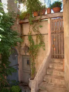 Ramatuelle - Escalier d'entrée d'une maison avec plantes grimpantes et plantes en pots