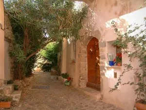 Ramatuelle - Maisons du village avec une plante grimpante et un laurier