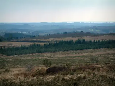 Regionaal Natuurpark van Armorique