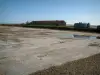 Regionaal Natuurpark van de Camargue - Salin de Giraud kwelder