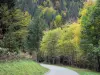 Regionaal Natuurpark van Chartreuse - Chartreuse: weg met bomen