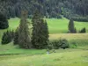 Regionaal Natuurpark van Hoge-Jura - Weilanden (weilanden) en spar (boom)