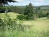 Regionaal Natuurpark van Millevaches in Limousin - Millevaches: bloemenweiden en bossen