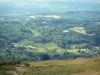 Regionaal Natuurpark van Millevaches in Limousin - Monedieres Hills: groen panorama vanuit het gezichtspunt van Suc mei