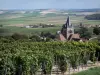 Regionaal Natuurpark van la Montagne de Reims - Wijngaarden van de Champagne wijngaarden (wijngaarden van de Montagne de Reims), de stad huizen en de kerk-Dommange met uitzicht op de omliggende velden op de achtergrond