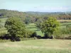 Regionaal Natuurpark Le Morvan - Bocage du Morvan met zijn heggen, bomen en weilanden