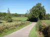Regionaal Natuurpark Le Morvan - Kleine landweg omzoomd met weiden en bomen