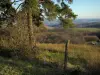 Regionaal Natuurpark van le Pilat - Bomen, omheining, gras, heuvels en weilanden