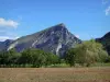 Regionaal Natuurpark van Vercors - Veld omzoomd met bomen aan de voet van een berg