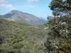 Regionaal Natuurpark van de Verdon - Tree-bedekte heuvels