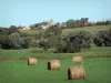 Regional Nature Park of Cotentin and Bessin Marshes - Haystack in a meadow, trees and farm (houses)