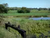 Regional Nature Park of Cotentin and Bessin Marshes - Vire et Taute canal, meadows and trees