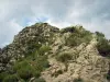 Regional Nature Park of Mercantour
