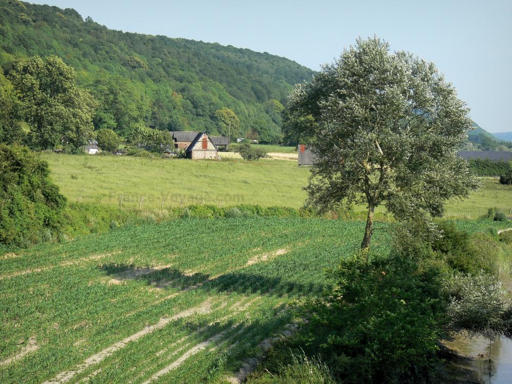 Bilder Der Regionale Naturpark Boucles de la Seine Normande Führer Tourismus & Urlaub