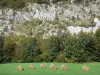 Regionale Natuurpark van de Hoge-Jura - Jura: balen hooi in een weiland, bomen en bergen