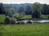 Regionale Natuurpark Périgord-Limousin - Meadows, vijver, bomen en bos