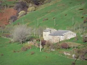 Regionaler Naturpark der Ardèche-Berge - Steingebäude umgeben von Bäumen und Wiesen