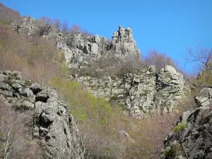 Regionaler Naturpark der Ardèche-Berge - Felsen inmitten eines Waldes