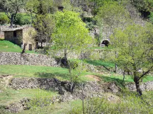 Regionaler Naturpark der Ardèche-Berge - Hütte umgeben von Bäumen und Terrassen aus Bruchstein