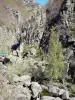 Regionaler Naturpark der Ardèche-Berge - Felswände überragend einen kleinen Fluss
