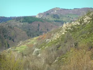 Regionaler Naturpark der Ardèche-Berge - Grüne Landschaft