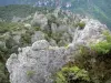 Regionaler Naturpark der Grands Causses - Chaos von Montpellier-le-Vieux, auf dem Kalkplateau Noir: ruinenförmige Felsen