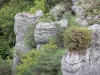 Regionaler Naturpark der Grands Causses - Chaos von Montpellier-le-Vieux, auf dem Kalkplateau Noir: Felsen und Vegetation