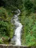 Regionaler Naturpark des Haut-Jura - Wasserfall und Vegetation