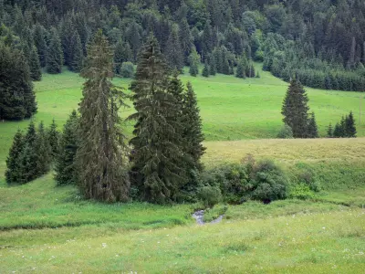 Regionaler Naturpark des Haut-Jura