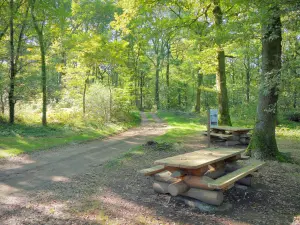 Regionaler Naturpark Morvan - Picknicktische im Schatten der Bäume am Rande eines Waldweges