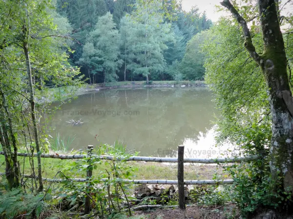 Regionaler Naturpark Morvan - Von Bäumen umgebener Teich im Herzen des Staatswaldes von Saulieu