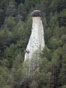 Regionaler Naturpark Queyras - Erdpyramide Demoiselle Coiffée umgeben von Bäumen